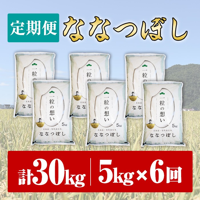 【令和8年産・先行予約受付】《 定期便・全6回 》上士別の生産者がつくるななつぼし ( 5kg×6回・計30kg)【2026年11月以降順次発送】 北海道 士別市産 米 お米 白米 北海道産 北海道米 ななつぼし 特A 一等級 コメ 単一原料米 定期便 5kg 30kg 【天塩の恵み上士別】【E7085-08】