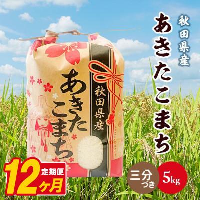 ふるさと納税 八郎潟町 【毎月定期便】あきたこまち 5kg【3分づき(精米)】 秋田県産全12回