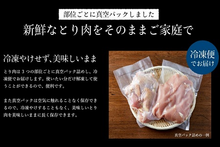 010VS02N.勢賀の郷 播州百日鶏セット（計1.5kg）ブランド鶏  むね肉 手羽先 手羽元 大量セット