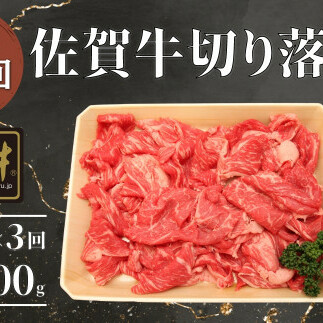 【3回定期便 総計2100g】【佐賀牛】切り落とし肉700g N75-1