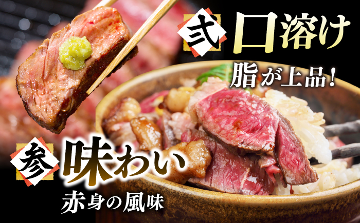 【A4～A5】長崎和牛サーロインステーキセット　1kg（250g×4枚）【株式会社 MEAT PLUS】 [DBS015] [DBS015]