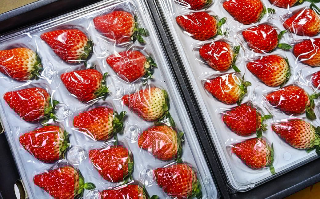 いちご ゆめの香 36粒 （18粒×2パック） 化粧箱入