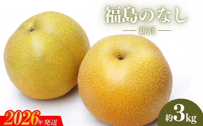 No.2190福島のなし　新高　約5kg【2026年発送】