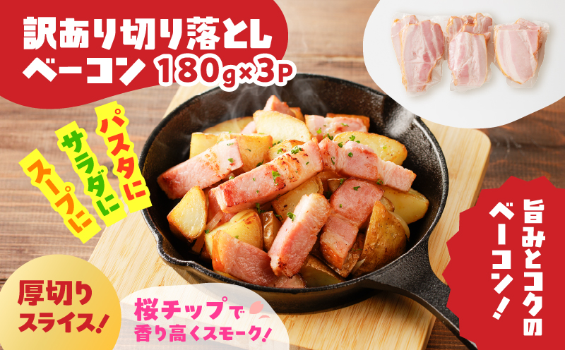 どれがお好み？食べ比べセットB（訳あり切り落としベーコン・訳あり無塩せき乾塩ベーコン切り落とし）　K161-026b