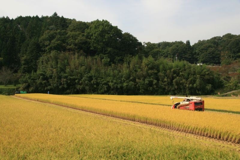 自然に囲まれたこの地だからこそ、米づくりに最適な条件がそろっています。