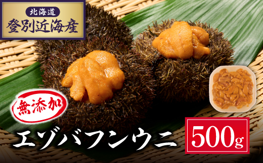 北海道 登別近海産　無添加　極上エゾバフンウニ塩水パック500g ※2025年6月より発送 [mh-0261]