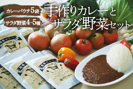 【シェフの目線】栽培期間中農薬不使用！旬の野菜と、こだわりの手作りカレーセット♪ 愛媛県大洲市/有限会社ヒロファミリーフーズ[AGBX025] 野菜詰め合わせ セット カレー 野菜 カレーライス