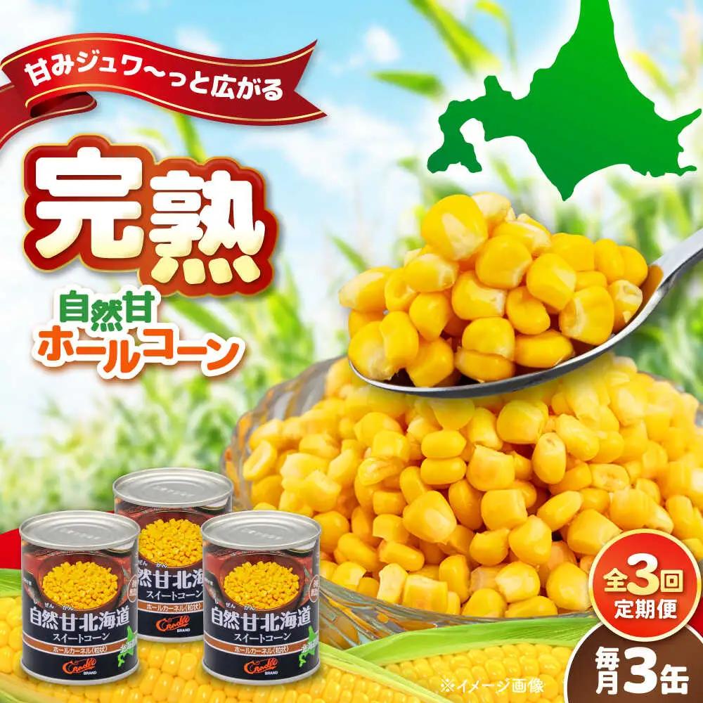 【全3回定期便】自然甘 ホールコーン 3缶【きもべつ観光協会】 缶詰 瓶詰 加工品 とうもろこし 北海道 常温配送 [AJAG036]