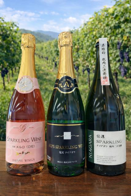 週末に楽しむ 大人の飲み比べ体験 個性を楽しむ塩尻スパークリング3選 | ワイン わいん ワイン スパークリングワイン お酒 おさけ 酒 さけ メルロ ロゼ ナイアガラ 五一わいん 林農園 アルプス 信濃ワイン 塩尻市 長野県 信州