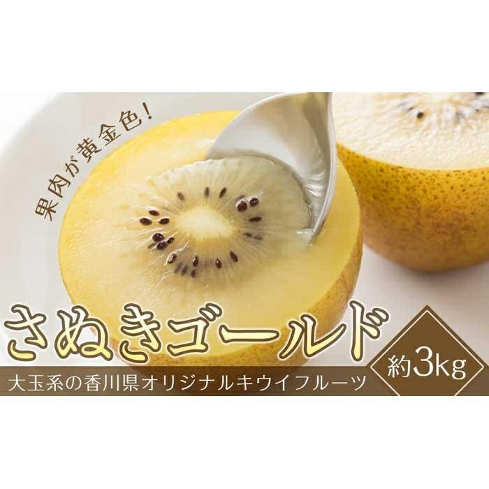 【ふるさと納税】さぬきゴールドキウイ　約3kg（20～24玉入り） | 香川県 坂出市 香川 四国 楽天ふるさと 納税 返礼品 支援 お取り寄せグルメ 取り寄せ グルメ 食品 フルーツ 果物 くだもの キウイ キウイフルーツ キュウイ ゴールドキウイ 特産品