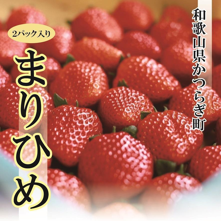 
特選☆いちご【まりひめ】１月中旬から5月上旬まで発送
