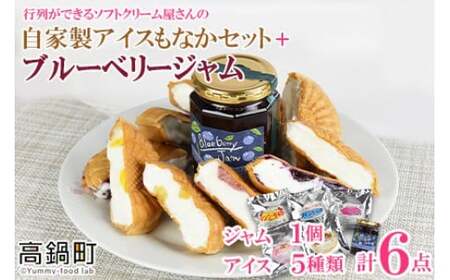 ＜自家製アイスクリームとブルーベリージャムのセット＞2か月以内に順次出荷【c593_sn_x3】 アイス ジャム セット ブルーベリー