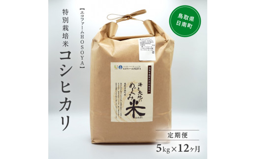 
[№5667-0290]【12カ月連続お届け】令和5年産 海と天地のめぐみ米（コシヒカリ） 白米5kg
