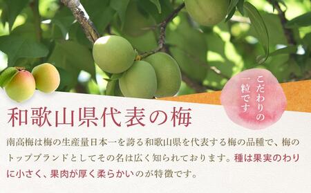 【2026年5月下旬以降発送】紀州南高梅(青梅) 5kg〈Lサイズ〉