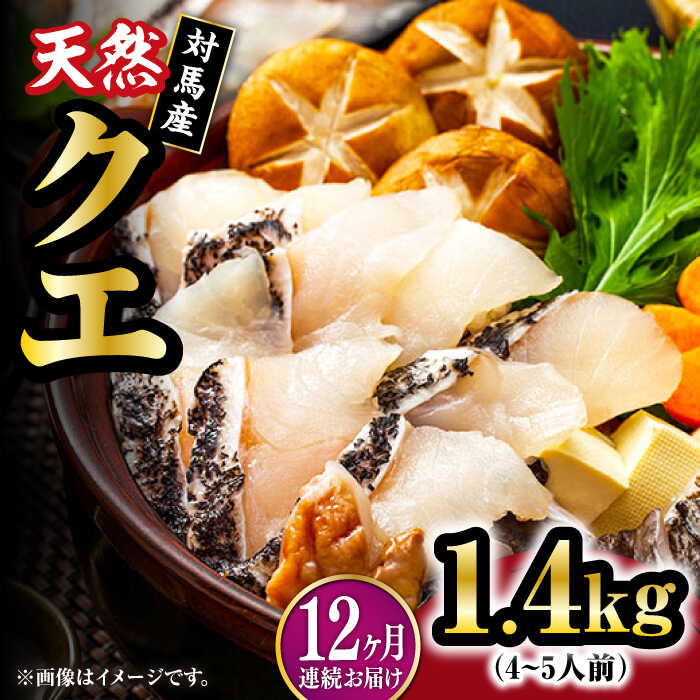 【ふるさと納税】【全12回定期便】【 対馬産 】最高級 クエ 鍋 セット ( 4〜5人前 ) 《対馬市》【石川水産】 水炊き 鮮度抜群 海鮮[WAB023]