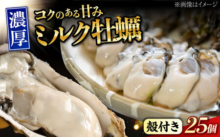 江田島ミルク牡蠣 殻付き 25個 加熱用 かき 広島県産 カキ 貝付き牡蠣 海鮮 贈呈用 BBQ 濃厚 新鮮 蒸し牡蠣 焼き牡蠣 グリル焼き 丸杉水産/江田島市[XCY003]