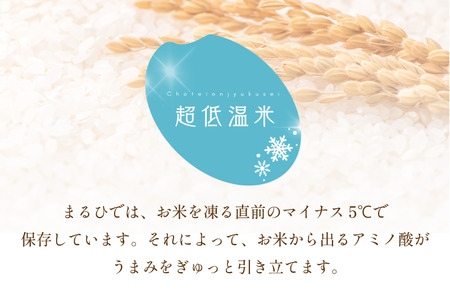 令和7年産 マルヒ食糧 ブレンド米 5kg