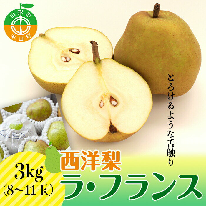 【ふるさと納税】【2026年先行予約】山形県産 西洋梨 ラ・フランス 3kg(8～11玉) 期間限定 数量限定 西塔果樹農園 ラフランス 果物 秋果実 フルーツ 洋ナシ 西塔果樹農園 ラフランス 果物 秋果実 果物 くだもの フルーツ 洋ナシ 洋なし F4A-0118