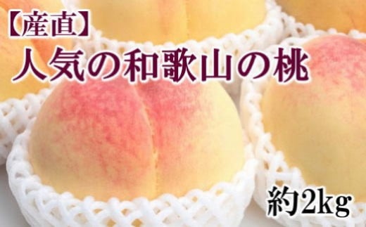 【産直・人気の特産品】和歌山の桃　約2kg・秀選品★2025年6月下旬～8月上旬頃順次発送★【TM167】