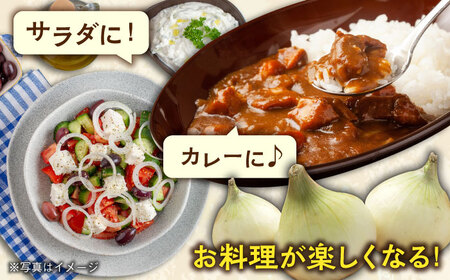 【2024年4月より順次発送】JAS認定 有機栽培 新玉ねぎ 8kg【百笑会】 [DA04]