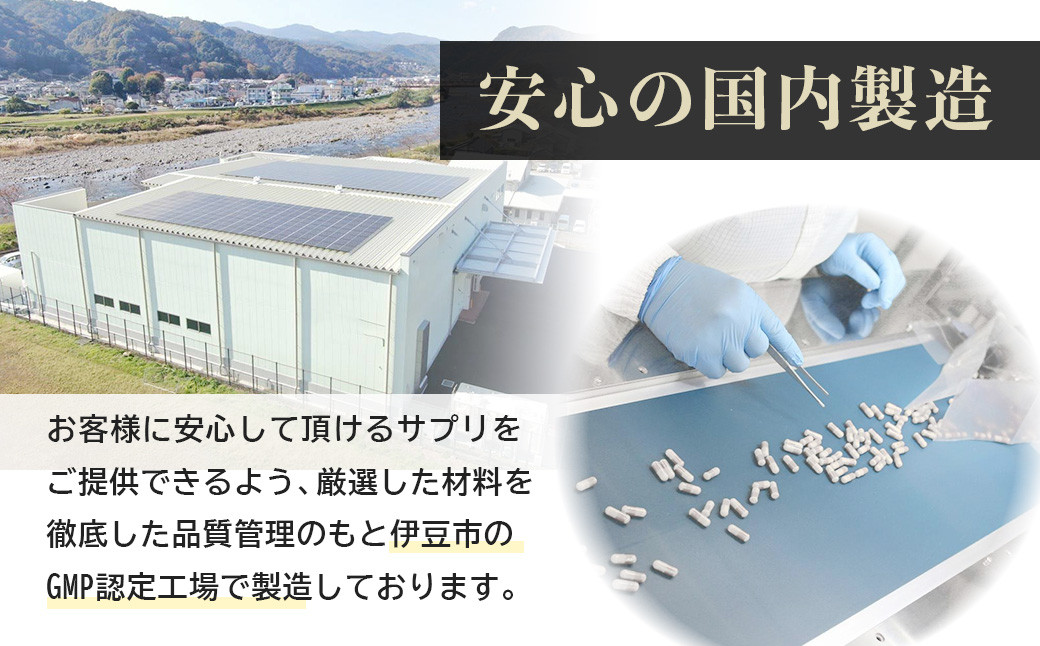 100年時代応援サプリNMN30000×6個【エイジングケア 高純度 健康維持 毎日習慣 国内工場 緑黄色野菜ビタミンB3 NAD 美容 健康 カプセル 静岡 伊豆 RNA NMN nmn サプリ サ