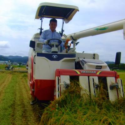 ふるさと納税 三条市 [定期便5kg×3ヶ月] 特別栽培米 コシヒカリ5kg 新潟県認証 令和7年産【027S014】 |  | 01