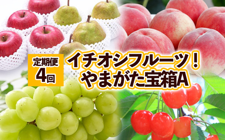 【定期便4回】イチオシフルーツ！やまがた宝箱A FZ25-823