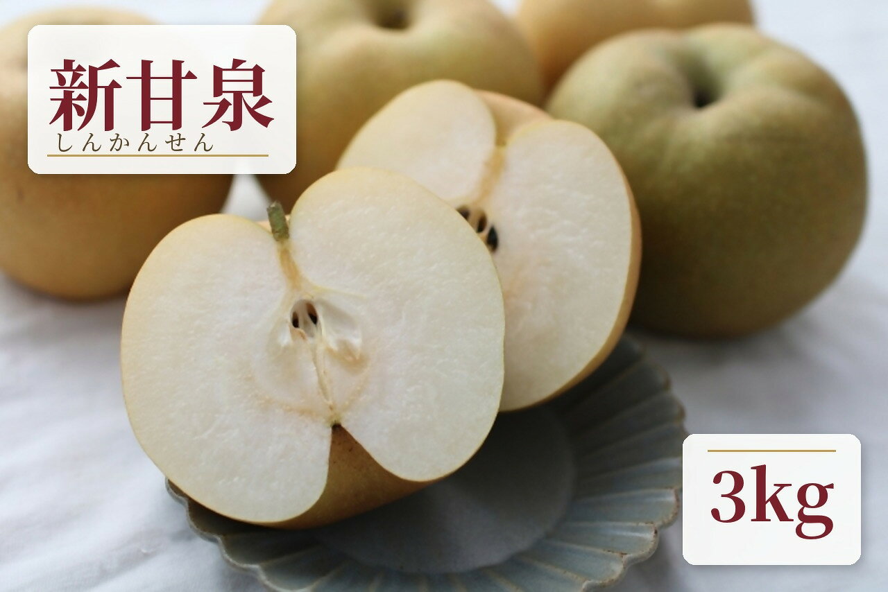 【ふるさと納税】 鳥取県産 新甘泉 梨 3kg クール便発送 【8月下旬頃から順次発送】 株式会社岡田商店
