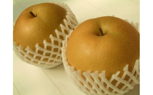 稲田ペアファームの豊華梨（ゆたかなし）（1）【5～6玉入り】【フルーツ 果物 くだもの 食品 人気 おすすめ 送料無料】