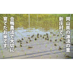 3003.【新米】令和6年産有機愛ガモ米5Kg(精米コシヒカリ　有機うるち精米)【1489812】