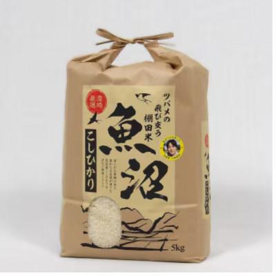 ふるさと納税 魚沼市 【毎月定期便】ツバメの飛び交う棚田米 精米5kg全3回