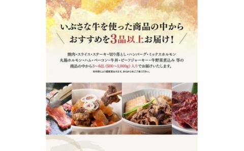 【3ヶ月定期便】いぶさな牛 選りすぐり 詰め合わせセット　牛肉[F0501t3]