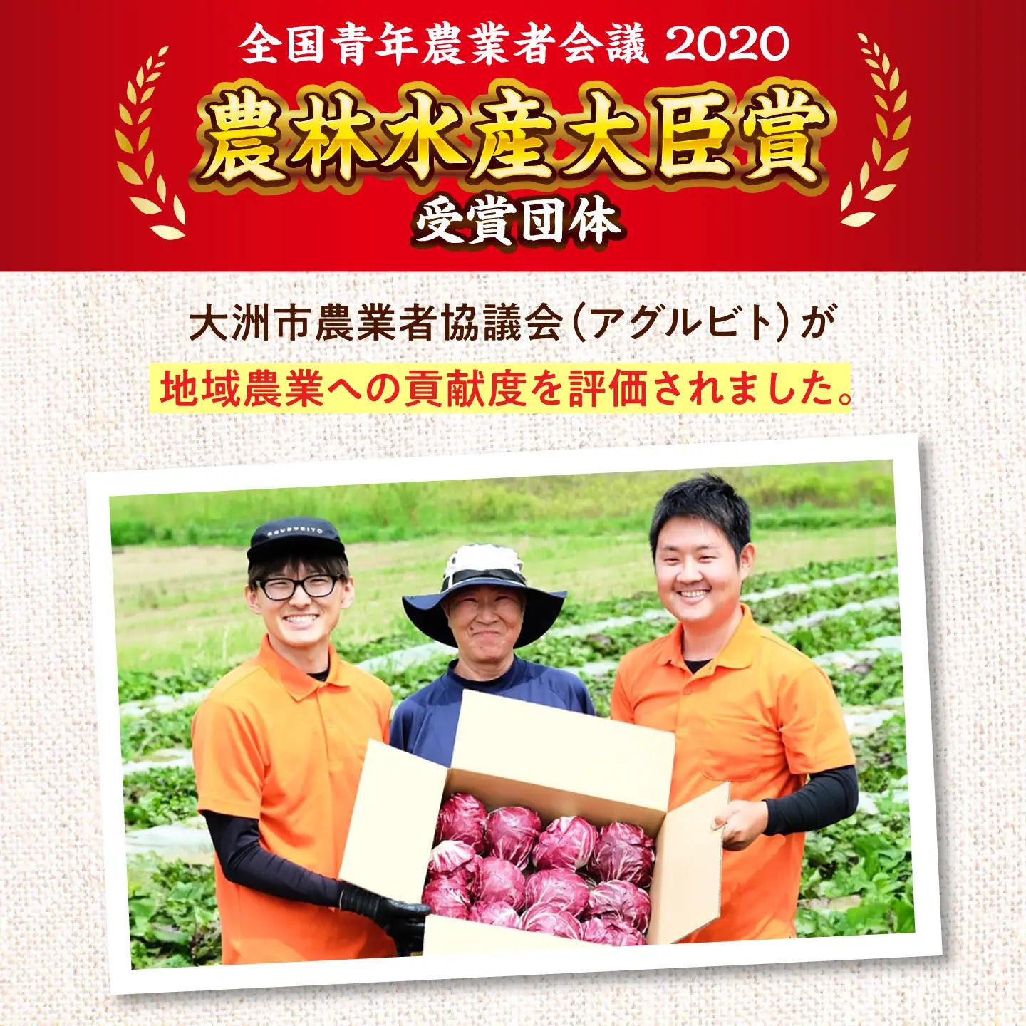 野菜【全6回定期便】【隔月】旬の農産物 野菜[AGBL001]