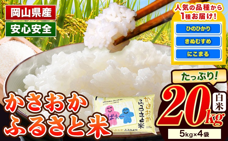 
            【選べる出荷時期】米 令和7年産 20kg ふるさと米 備中笠岡 人気品種をお届け！ 国産 ヒノヒカリ にこまる きぬむすめ お米 ブランド米 ふっくら ハリ おにぎり 弁当 単一原料米 検査済み お取り寄せ 送料無料 岡山県産
          