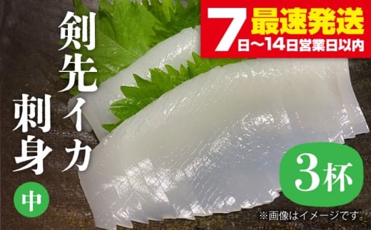 剣先イカ 刺身（中）3杯《壱岐市》【株式会社マルショウ】[JEW003] いか イカ 剣先いか セット おつまみ 新鮮 海鮮丼 刺し身 15000 15000円