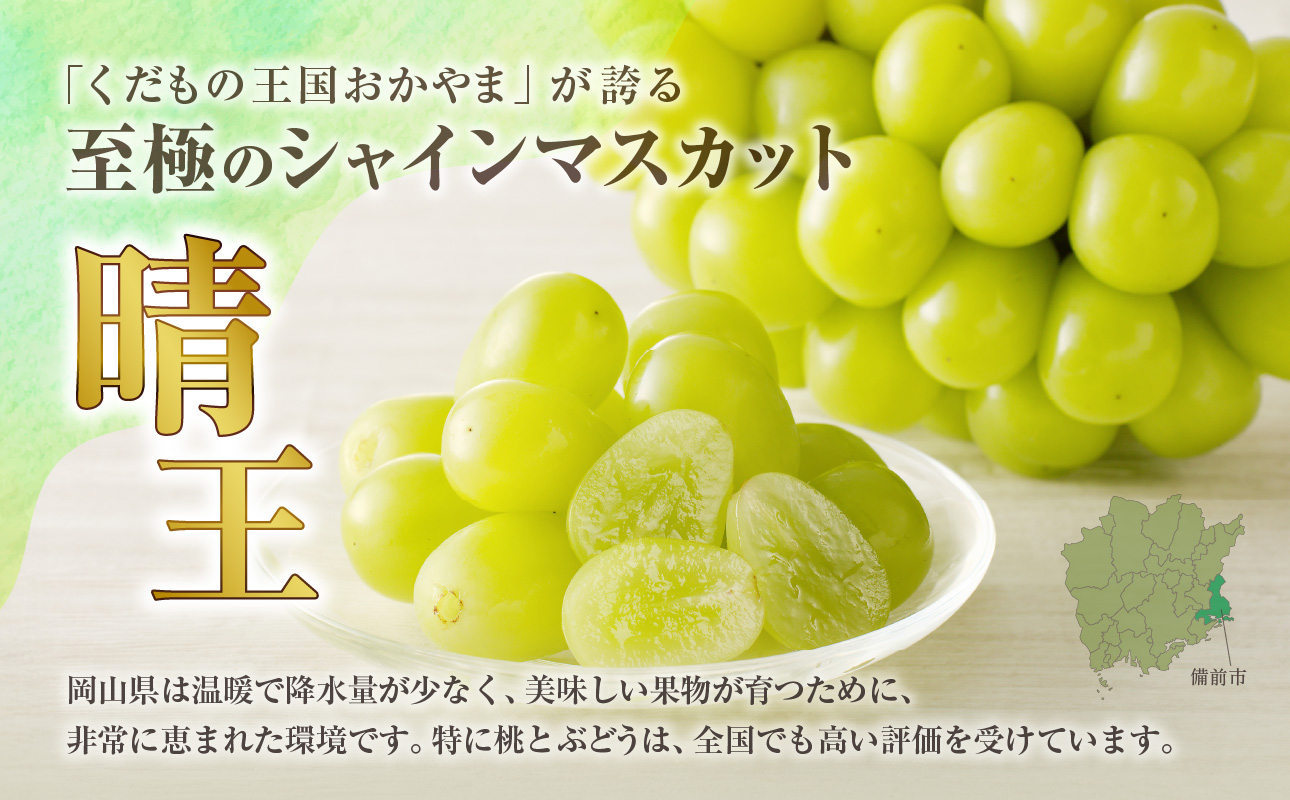 【2025年発送分 先行受付スタート】岡山県産シャインマスカット「晴王」　秀品　1房（約600g）（令和７年8月中旬以降発送）【 シャインマスカット 晴王 フルーツ 果物 葡萄 ぶどう 岡山県産 秀品