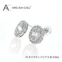 【ふるさと納税】ARC-EN-CIEL PTダイヤピアス（計 0.5ct）