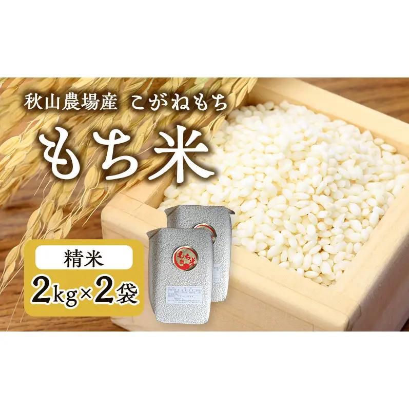 先行予約 令和8年産 【もち米】【真空パック】新潟産こがねもち 2Kg×2袋 新潟 上越 アフコ 秋山農場