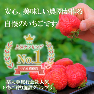 GF001_【2025年11月中旬～2026年4月発送】紅白いちご440g ゆりかーごC2パック