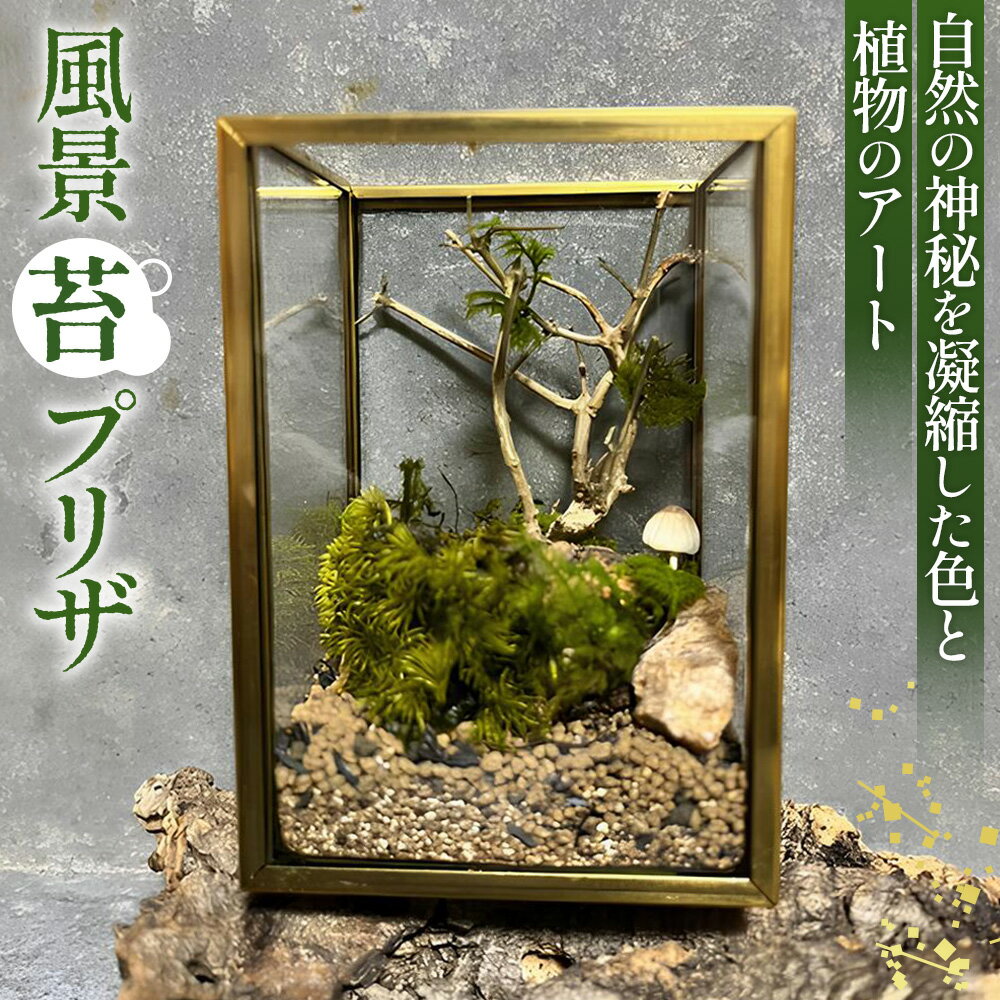 【ふるさと納税】No.355 風景　苔プリザ／ 苔 鑑賞 癒し 送料無料 埼玉県