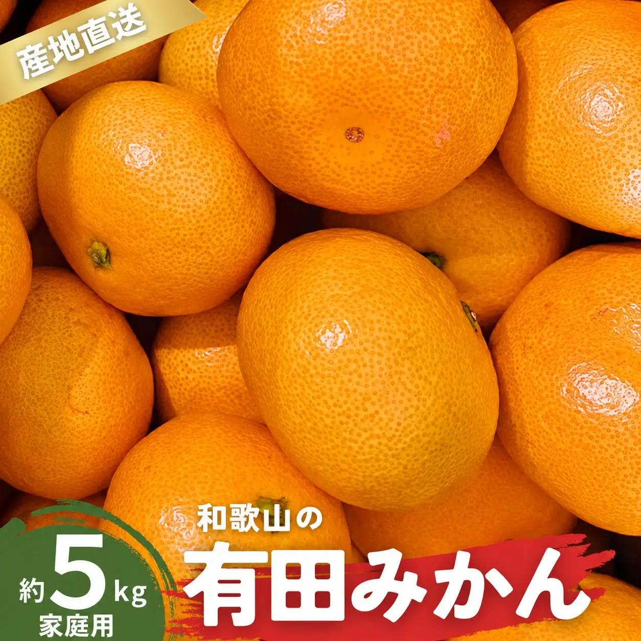 【1月発送】家庭用 有田みかん 和歌山 S～Lサイズ大きさお任せ 5kg / みかん フルーツ 果物 くだもの 有田みかん 蜜柑 柑橘【ktn007A-1】