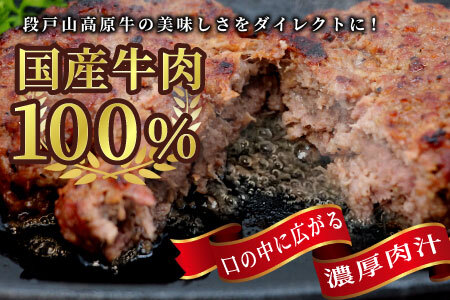 国産 牛肉 100%使用！ ハンバーグ レンジ可 湯煎 加熱済 6個 個包装 100ｇ 国産牛 牛 着色料 保存料 化学調味料 不使用 牛肉ハンバーグ 肉 肉汁 -095
