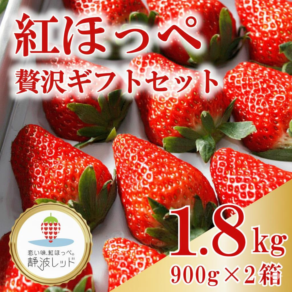 
                  【先行予約】2027年1月から発送開始 紅ほっぺ 贅沢 ギフト セット 900ｇ × 2箱 果物 イチゴ 苺 フルーツ くだもの スイーツ デザート ストロベリー おやつ 完熟 直送 家庭用 贈答用 贈答 ギフト 贈り物 甘い ブランド ジャム スムージー アレンジ フルーツ大福 いちご大福  新鮮 農家直送 朝採れ ベリー 国産 イチゴイチエ石神農園 静岡県 牧之原市
                
