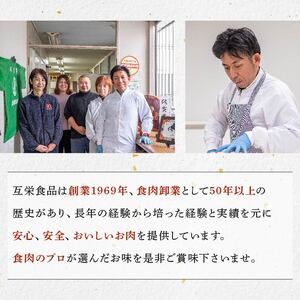 沼津風 国産 ローストビーフ 約 200g ～ 300g × 2～3個 ブロック肉 牛肉 牛 赤身 ソース付き シンタマ ランイチ 冷凍 おすすめ ギフト 贈答用 贈り物 パーティー 小分け アレンジ