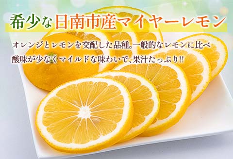 先行予約 マイヤーレモン 計3kg以上 希少 国産レモン 果物 くだもの フルーツ 檸檬 柑橘 期間限定 数量限定 おすすめ ジュース 飲み物 サラダ 調味料 焼肉 バーベキュー BBQ デザート お