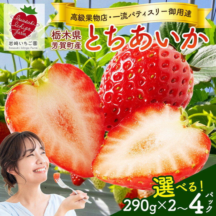【ふるさと納税】＼選べるパック数／【先行予約】栃木県芳賀町産いちご とちあいか290g(7～12粒) | 果物 フルーツ いちご 苺 イチゴ とちあいか ブランド 期間限定 季節限定 旬 国産※2026年1月上旬～4月下旬頃に順次発送予定