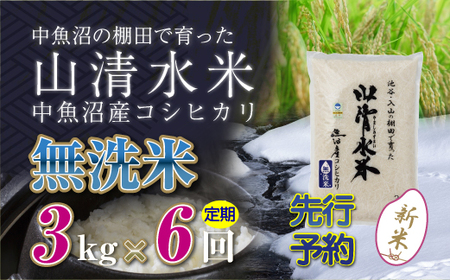【令和8年産 先行予約】【定期便／全6回】無洗米3kg 新潟県魚沼産コシヒカリ「山清水米」