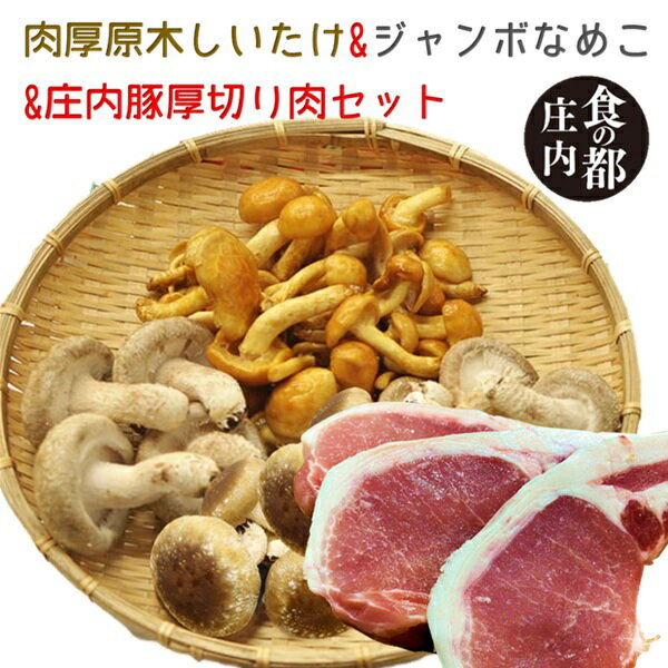 【ふるさと納税】食の都庄内　肉厚原木しいたけ＆ジャンボなめこ＆庄内豚スライス肉セット（やまがた庄内産直出前便実行委員会）