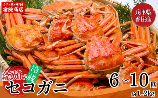 【兵庫県香住産 釜茹で セコガニ 6～10匹 約1.2kg 冷蔵】【令和8年11月下旬以降発送予定】日本海 香住 柴山 漁港 水揚げ 国産 蟹 かに カニ せこがに せいこがに セイコガニ 松葉がに メス プチプチ 外子 内子 濃厚 貴重 新鮮 かにみそ 味噌 海の幸 コッペガニ 香箱蟹 親ガニ グルメ 大人気 おすすめ ふるさと納税 返礼品 兵庫県 香美町 宿院商店 33-23