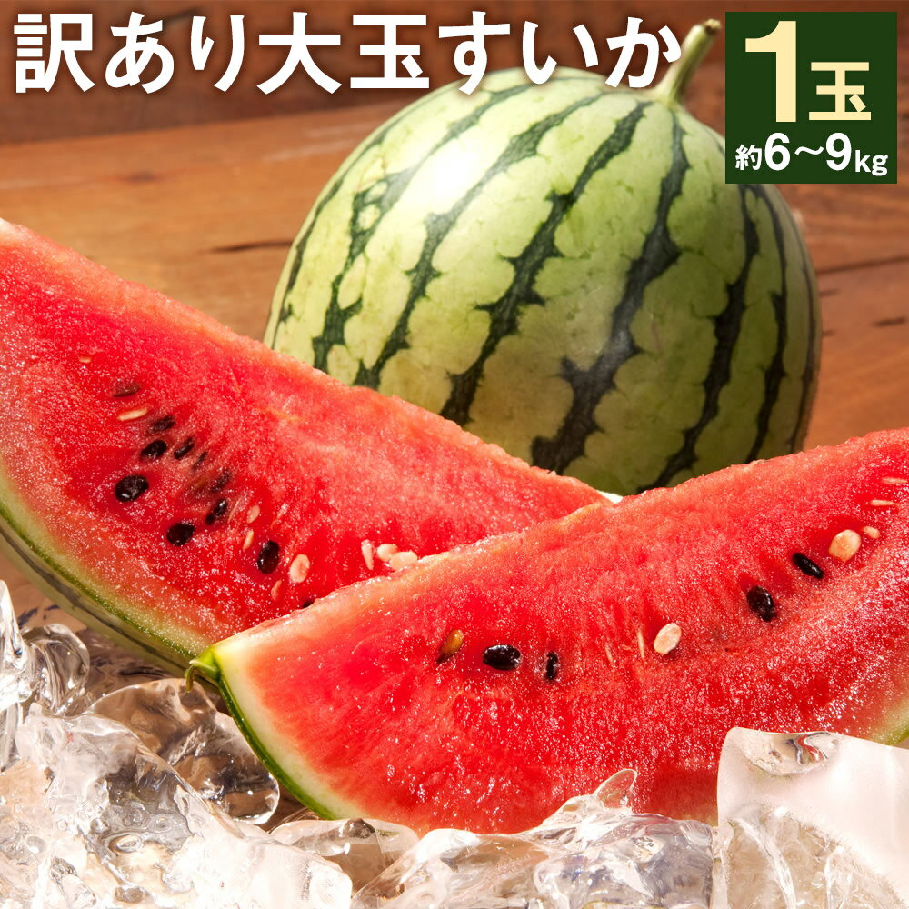 【ふるさと納税】訳あり 大玉すいか 1玉 約6〜9kg L〜3L混合 スイカ 西瓜 果物 夏 フルーツ ご家庭用 菊池市産 熊本県産 九州産 送料無料《5月下旬-7月下旬頃発送予定》